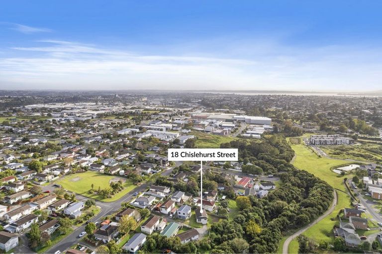 Photo of property in 18 Chislehurst Street, Henderson, Auckland, 0612