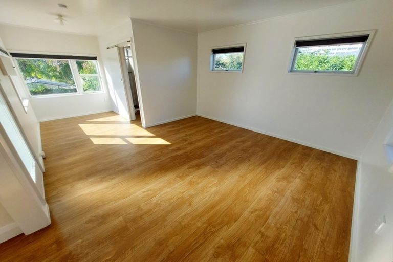 Photo of property in 119 Pembroke Street, Hamilton Lake, Hamilton, 3204