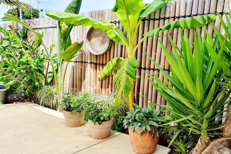 Photo of property in 97 Rogers Road, Bay View, Napier, 4104