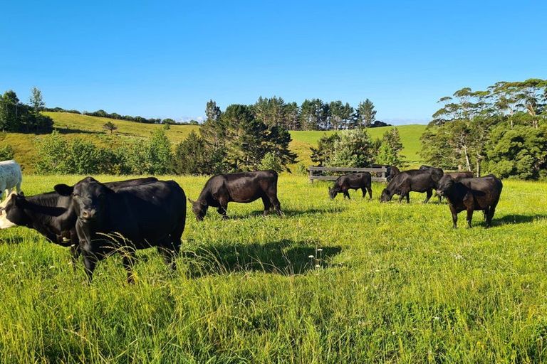 Photo of property in 412e Redcliffs Road, Kerikeri, 0294