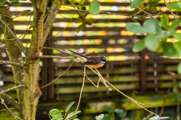 Photo of property in 10 Casel Street, Masterton, 5810