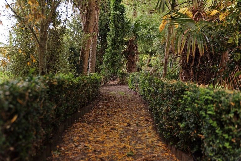 Photo of property in 64 Waikuku Beach Road, Waikuku, Rangiora, 7473