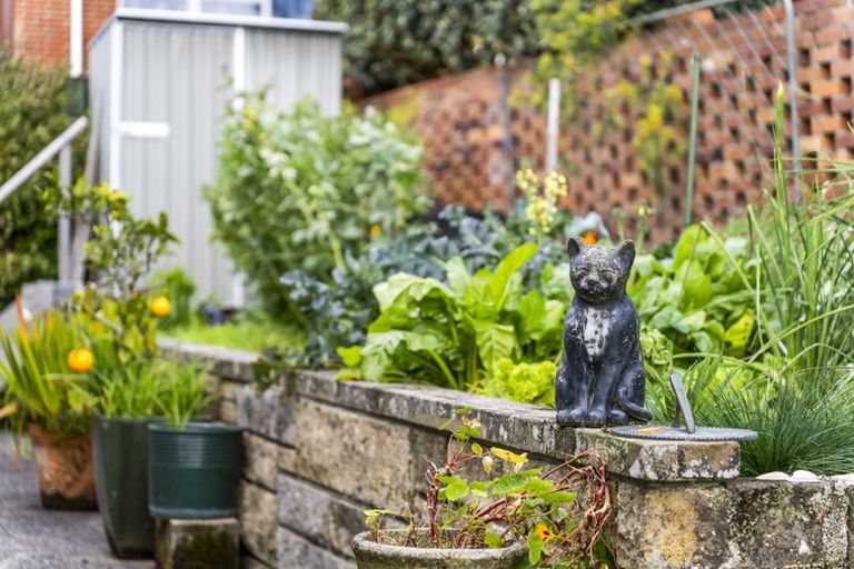 Photo of property in 21 Marywil Crescent, Hillcrest, Auckland, 0627