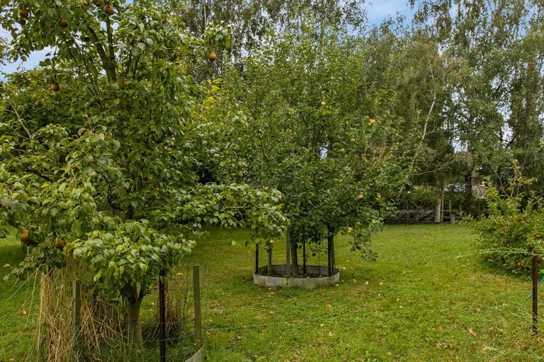 Photo of property in 476 Falvey Road, Levels, Timaru, 7975