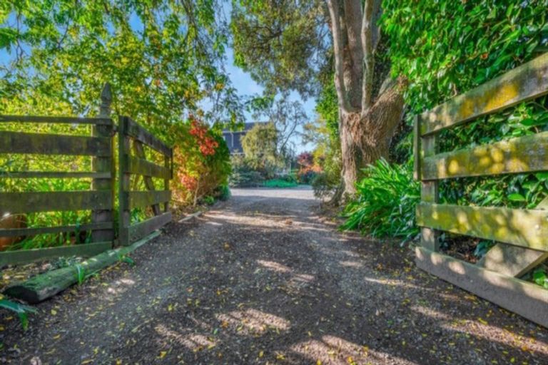 Photo of property in 20 Vintners Lane, Tamahere, Hamilton, 3283