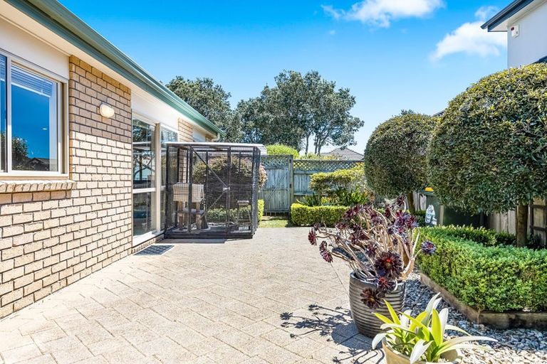 Photo of property in 49 Espalier Drive, Henderson, Auckland, 0612