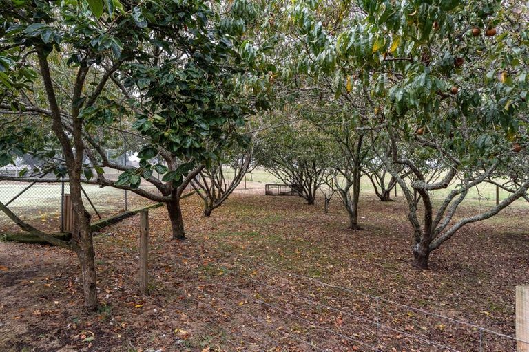 Photo of property in 308 Mill Road, Ohaupo, 3881