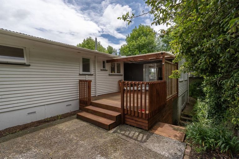 Photo of property in 253 Hukanui Road, Chartwell, Hamilton, 3210