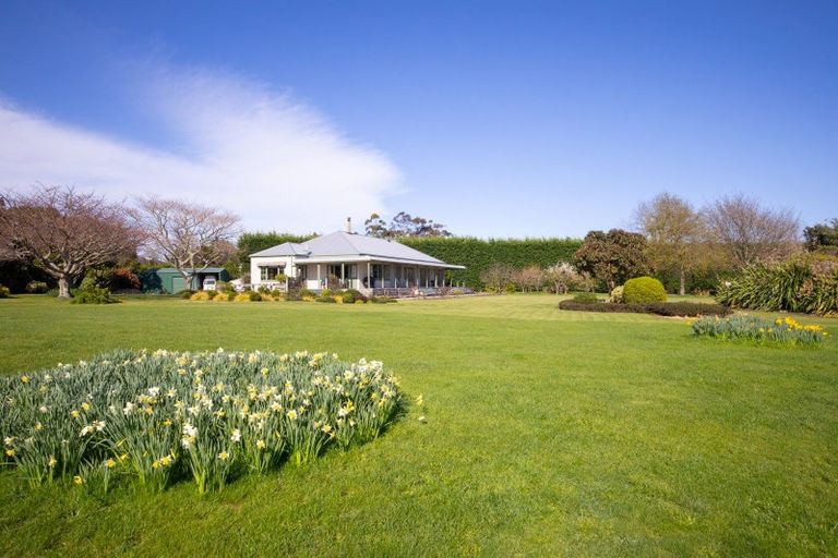 Photo of property in 521 Pohangina Road, Pohangina, Ashhurst, 4884