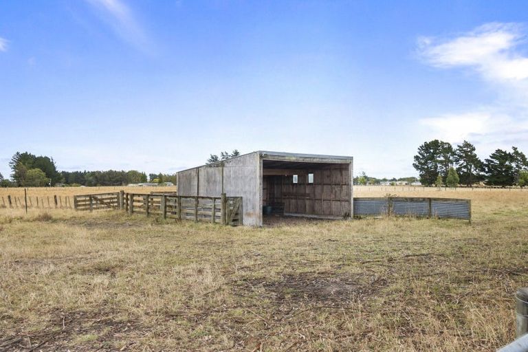 Photo of property in 112 Calico Line, Marton, 4787