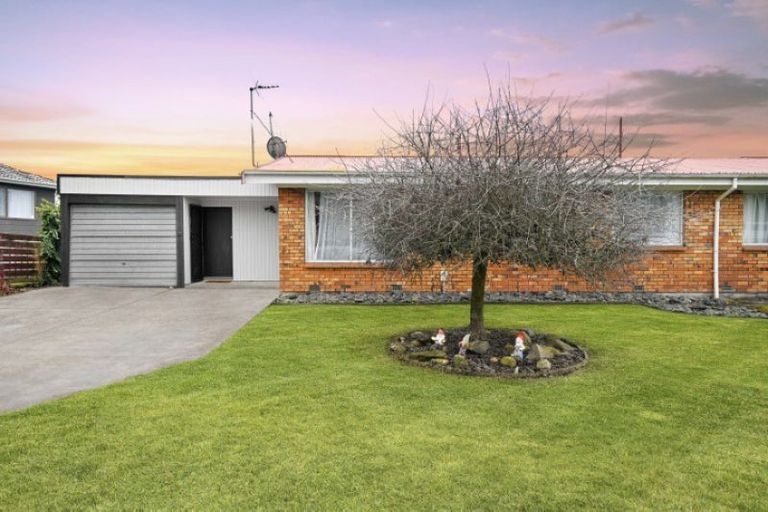 Photo of property in 10 Hibiscus Avenue, Hamilton Lake, Hamilton, 3204