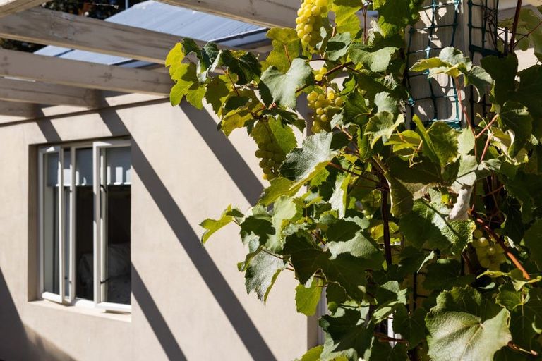 Photo of property in 18 Copper Beech Avenue, Frankton, Queenstown, 9300