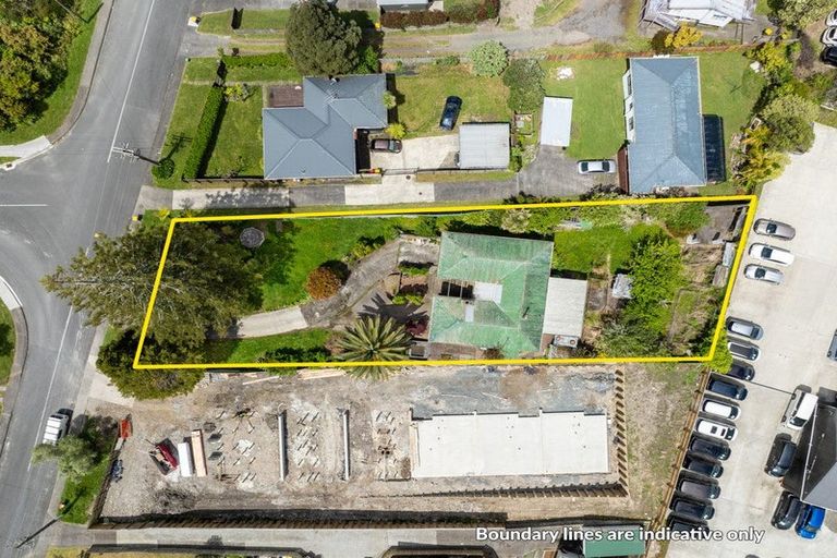 Photo of property in 48 Kelman Road, Kelston, Auckland, 0602