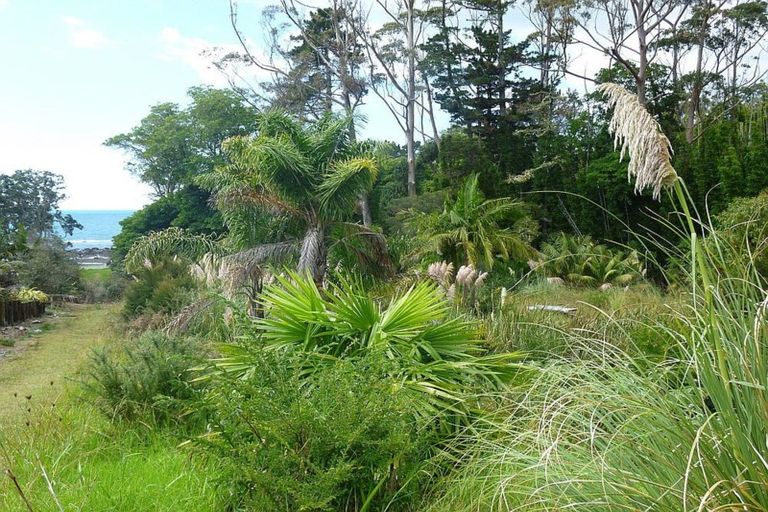 Photo of property in 56 Powells Road, Cable Bay, 0420