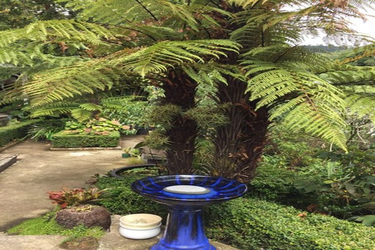 Photo of property in 1 Haines Terrace, Aro Valley, Wellington, 6021