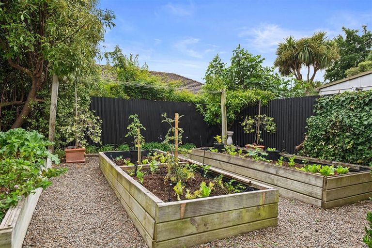 Photo of property in 8 Scotston Avenue, St Albans, Christchurch, 8052