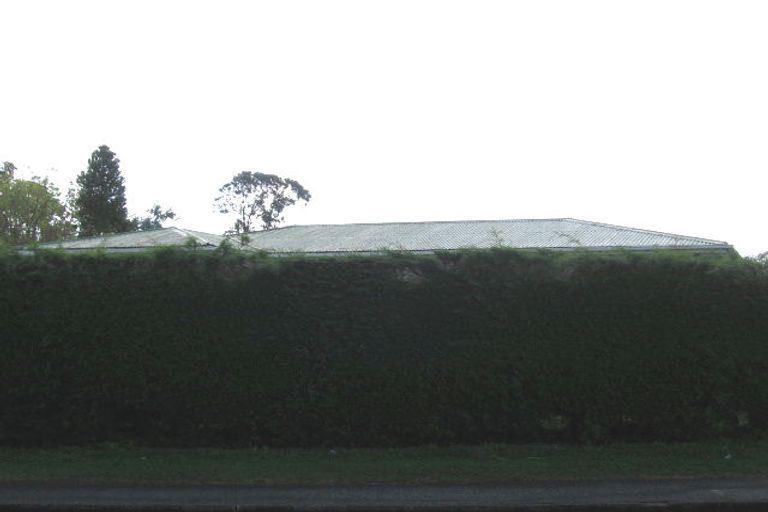 Photo of property in 29 Pinedale Place, Henderson, Auckland, 0610