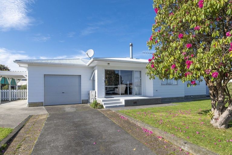 Photo of property in 12 Heather Street, Levin, 5510
