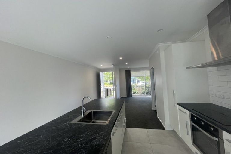Photo of property in 111 Squadron Drive, Hobsonville, Auckland, 0616