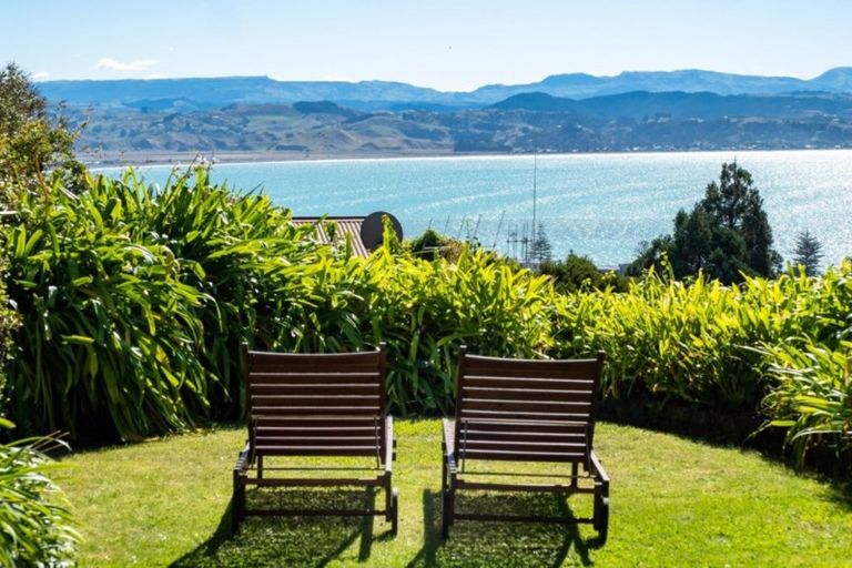 Photo of property in Mchardy Homestead, 11 Bracken Street, Hospital Hill, Napier, 4110