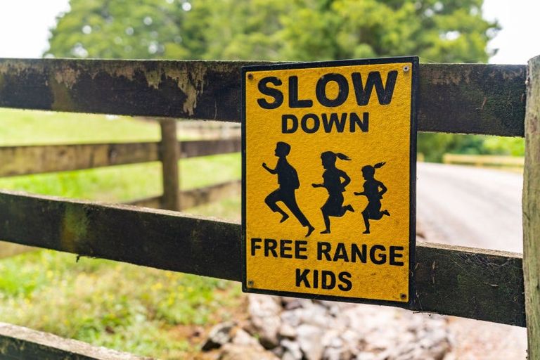 Photo of property in 31 Plane Tree Lane Lane, Ruatangata West, 0185