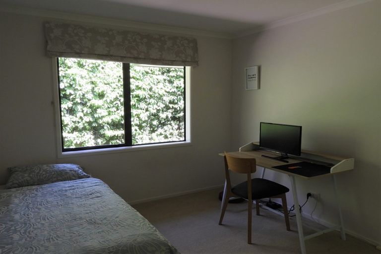 Photo of property in 24 Dayna Avenue, Ohauiti, Tauranga, 3112