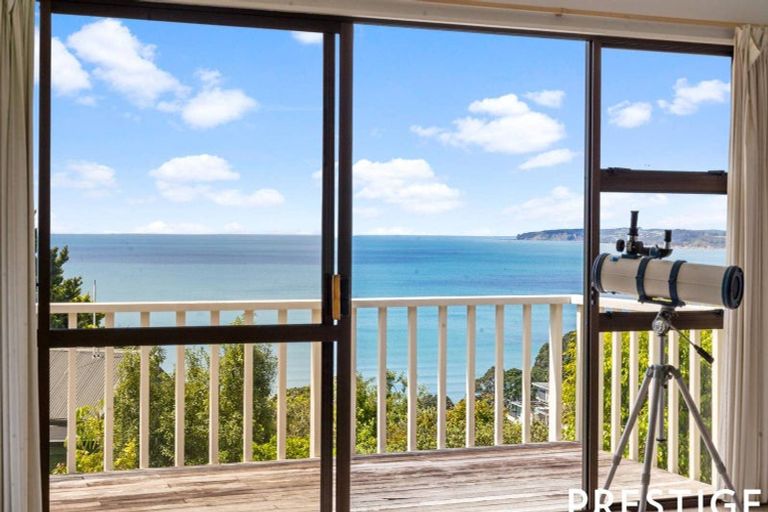 Photo of property in 258 Whangaparaoa Road, Red Beach, 0932