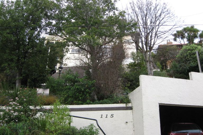 Photo of property in 115 Bedford Street, Saint Clair, Dunedin, 9012