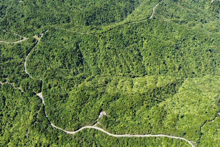 Photo of property in 552 Cuff Road, Erua, Owhango, 3990