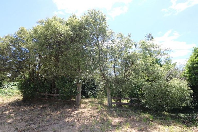 Photo of property in 12 Rhodes Street, Carterton, 5713