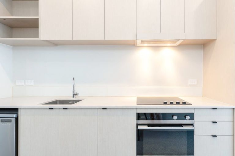 Photo of property in Aniva Terrace, 14 Arney Street, Newtown, Wellington, 6021