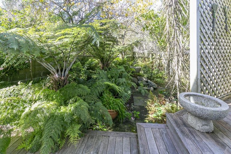 Photo of property in 8 Walmer Street, Hataitai, Wellington, 6021