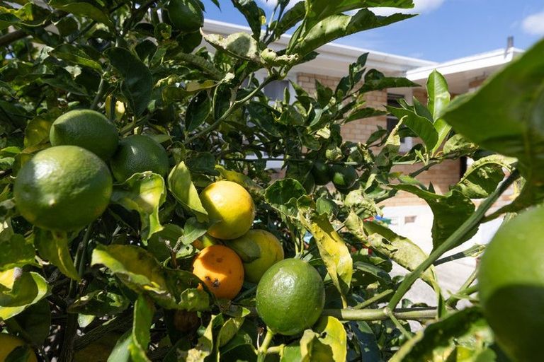 Photo of property in 576 Great South Road, Huntly, 3700