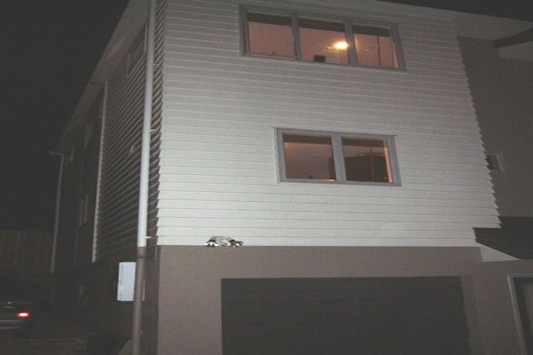 Photo of property in 6/22 Northcross Drive, Oteha, Auckland, 0632