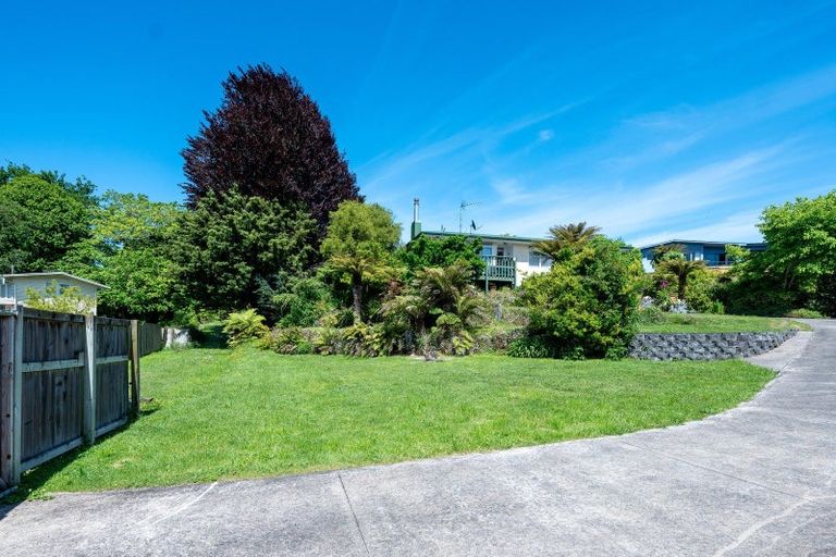 Photo of property in 4 Porritt Place, Putaruru, 3411