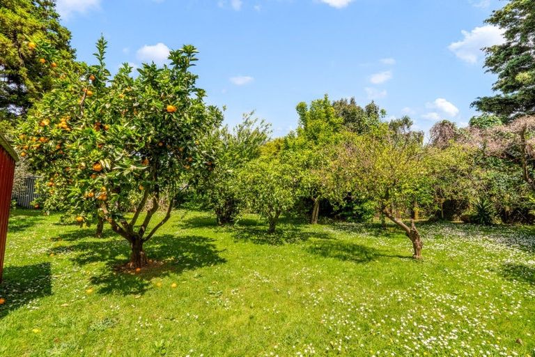 Photo of property in 14 Amo Street, Te Kauwhata, 3710