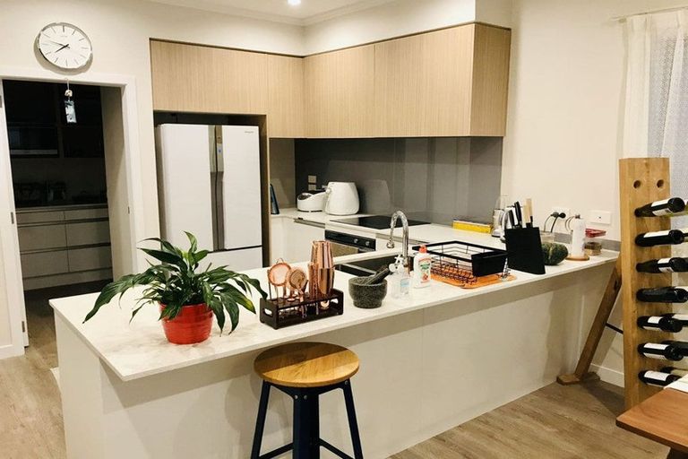 Photo of property in 10 Sacred Kingfisher Road, Hobsonville, Auckland, 0616