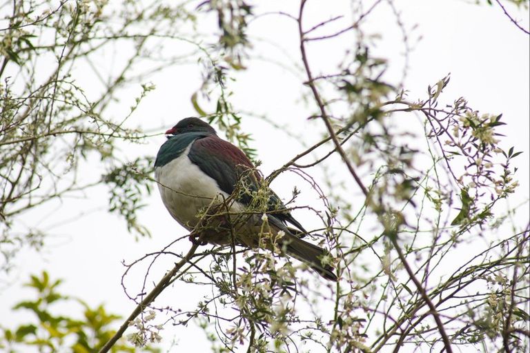 Photo of property in 740 Tauranga Direct Road, Hamurana, Rotorua, 3096