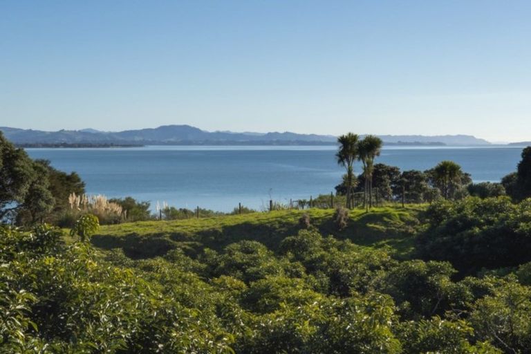 Photo of property in 340d Pahoia Road, Whakamarama, Tauranga, 3172