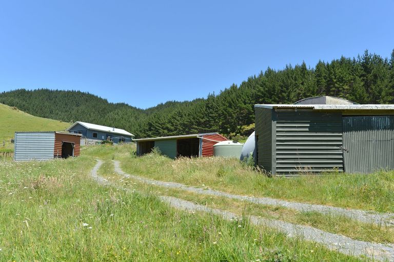 Photo of property in 370 Lowe Road, Hikurangi, 0181