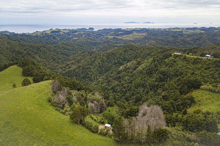 Photo of property in 98 Kiwi Bush Lane, Ngunguru, Whangarei, 0173