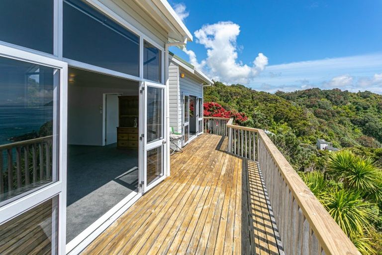 Photo of property in 24 Little Bay Drive, Waikawau, Coromandel, 3584