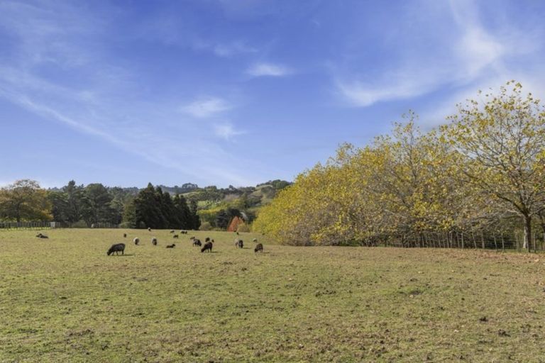 Photo of property in 115 Glenmore Road, Coatesville, Albany, 0793