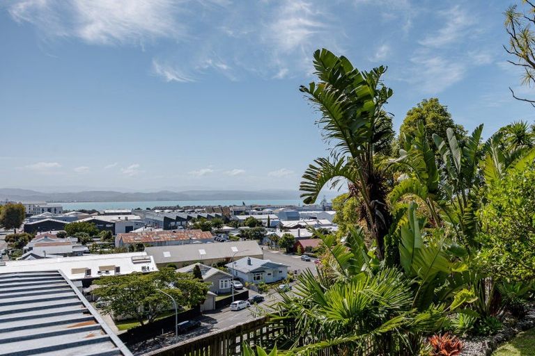 Photo of property in 156 Battery Road, Hospital Hill, Napier, 4110