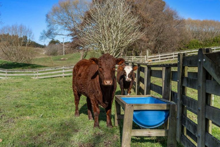 Photo of property in 297 Homestead Road, Weston, Oamaru, 9491