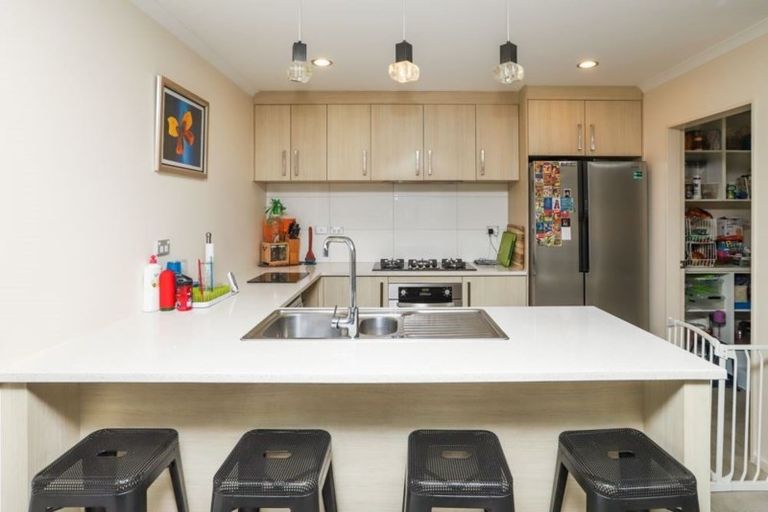 Photo of property in 99 Te Manatu Drive, Huntington, Hamilton, 3210