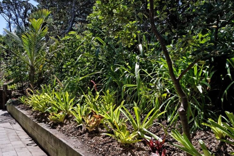 Photo of property in 35 Beach Valley Road, Piha, New Lynn, 0772