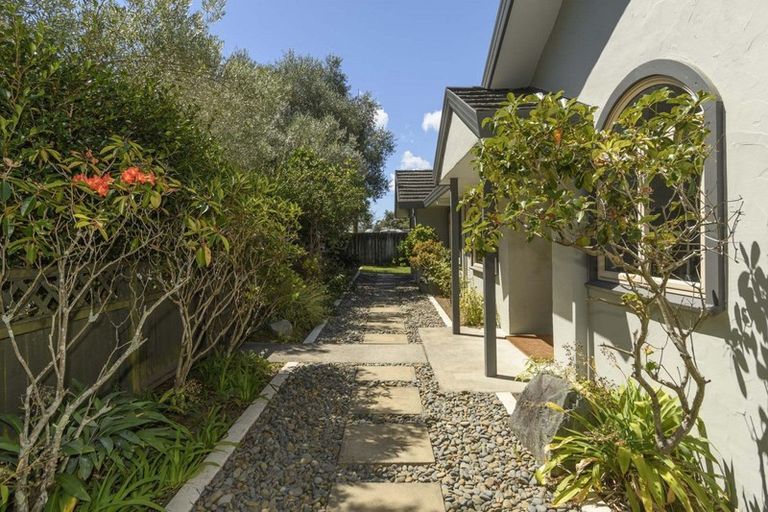 Photo of property in 1 Guildford Place, Bethlehem, Tauranga, 3110