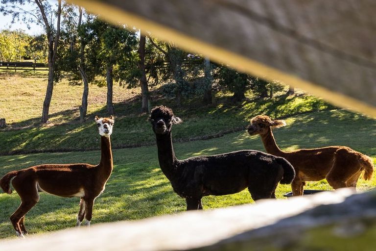 Photo of property in 2 Kilmarnock Close, Waldronville, Dunedin, 9018