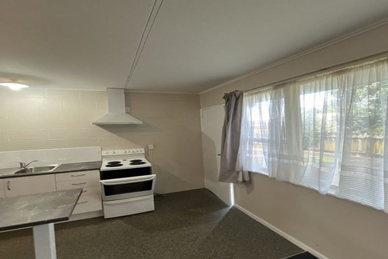 Photo of property in 14-16 Mako Mako Road, Levin, 5510